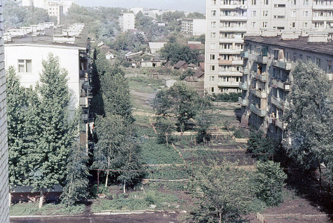 Дома на Ростовской. Вид из 4-го общежития СХИ | Фотографии старого Саратова