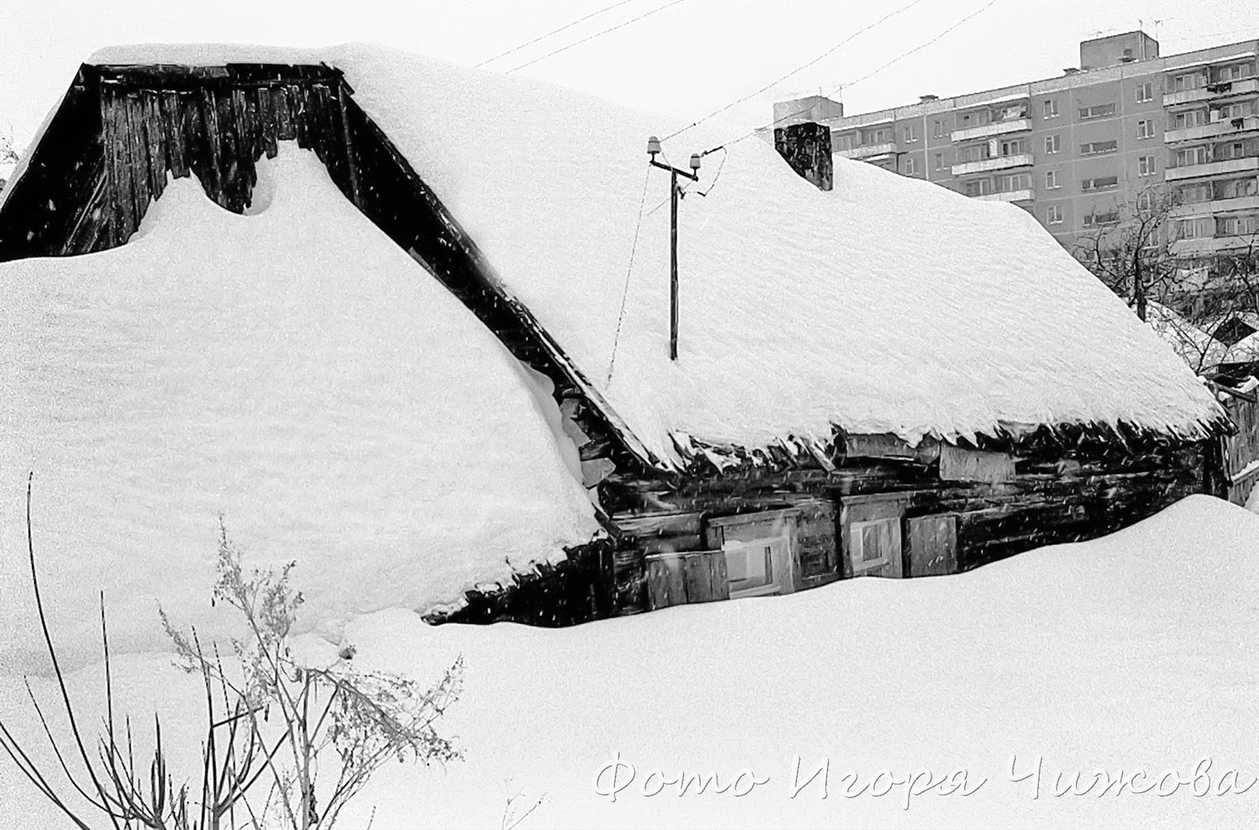 Село, занесённое снегом по крыши прикольные рисунки