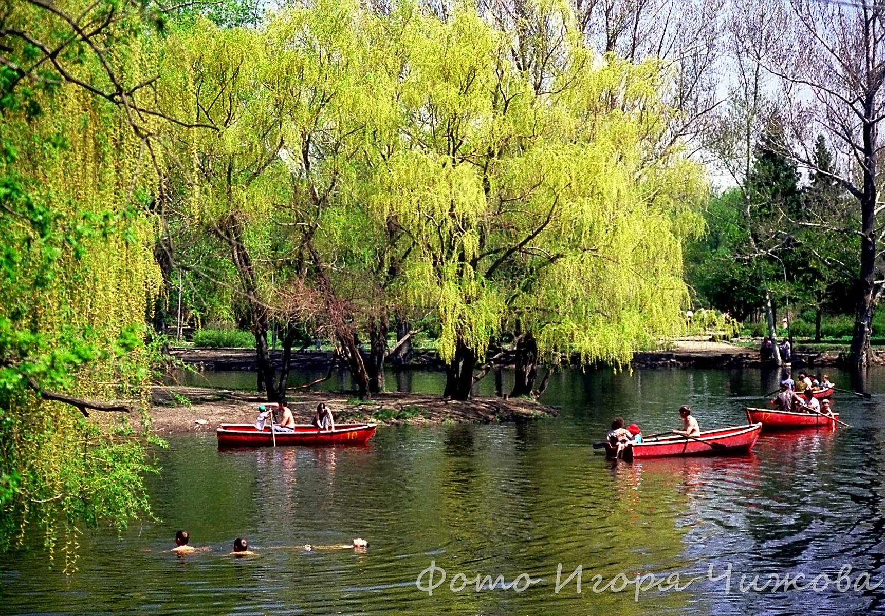 Городской парк саратов фото