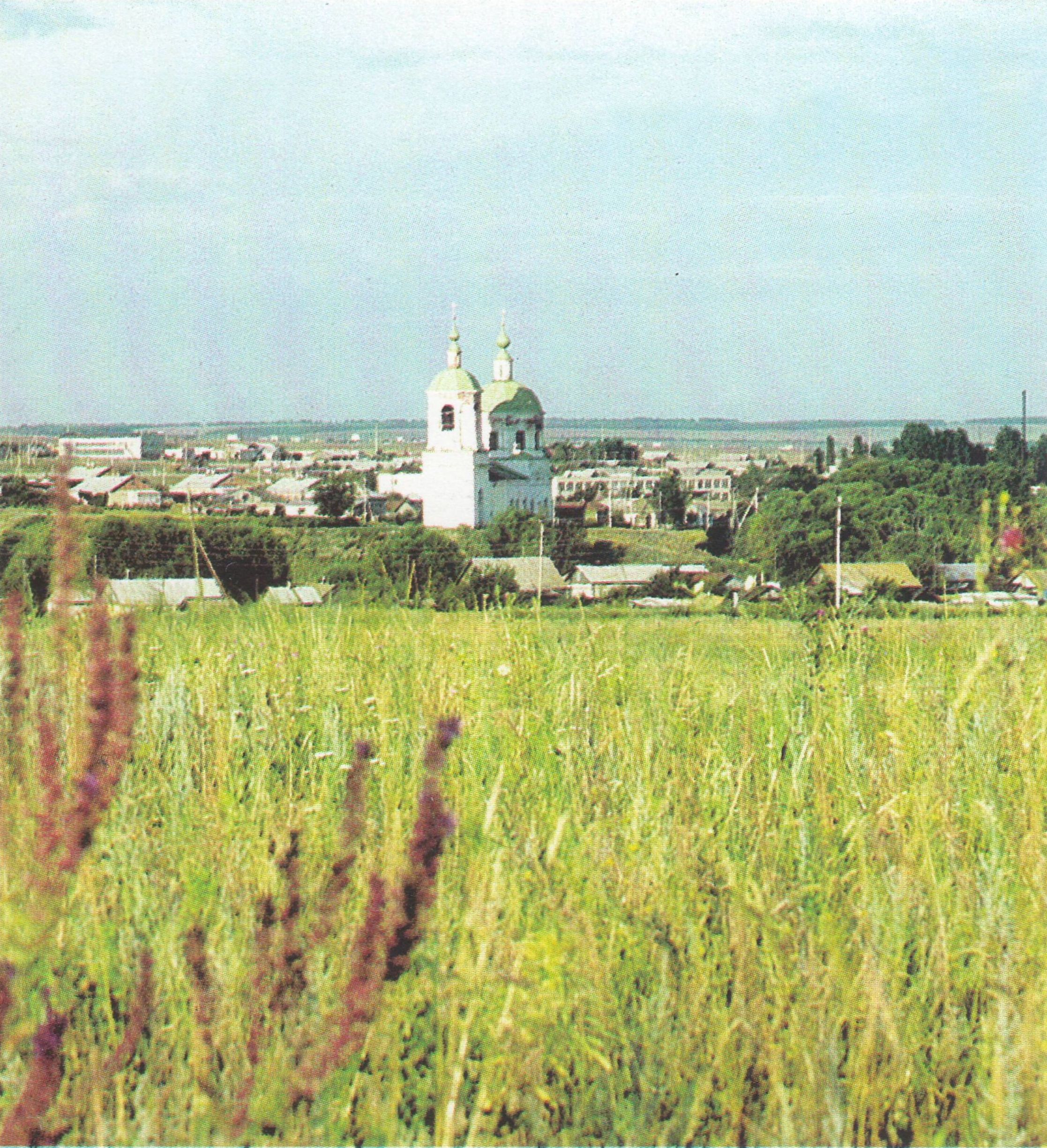 Село михайловка саратовская область фото