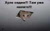 Аватар пользователя Денис Купцов